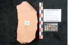 Foto (Objekt + Etikett) von Cassia phaseolites Unger (NHMW-GEO-2024-0188-7966)